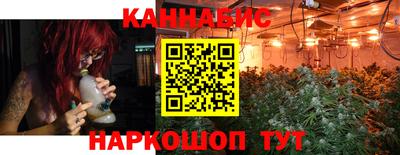 индика Лесосибирск