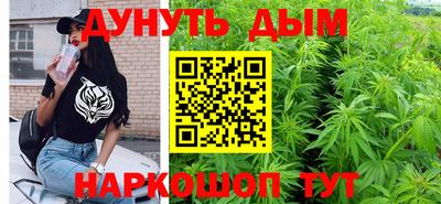 индика Лесосибирск
