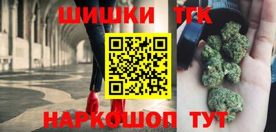 индика Лесосибирск