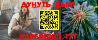 индика Лесосибирск