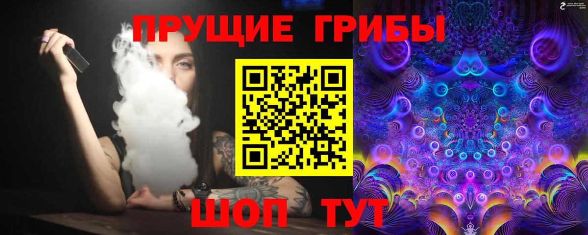 Псилоцибиновые грибы мицелий  Галлюциногенные грибы Psilocybine cubensis  даркнет сайт  Десногорск  Вход с VPN 